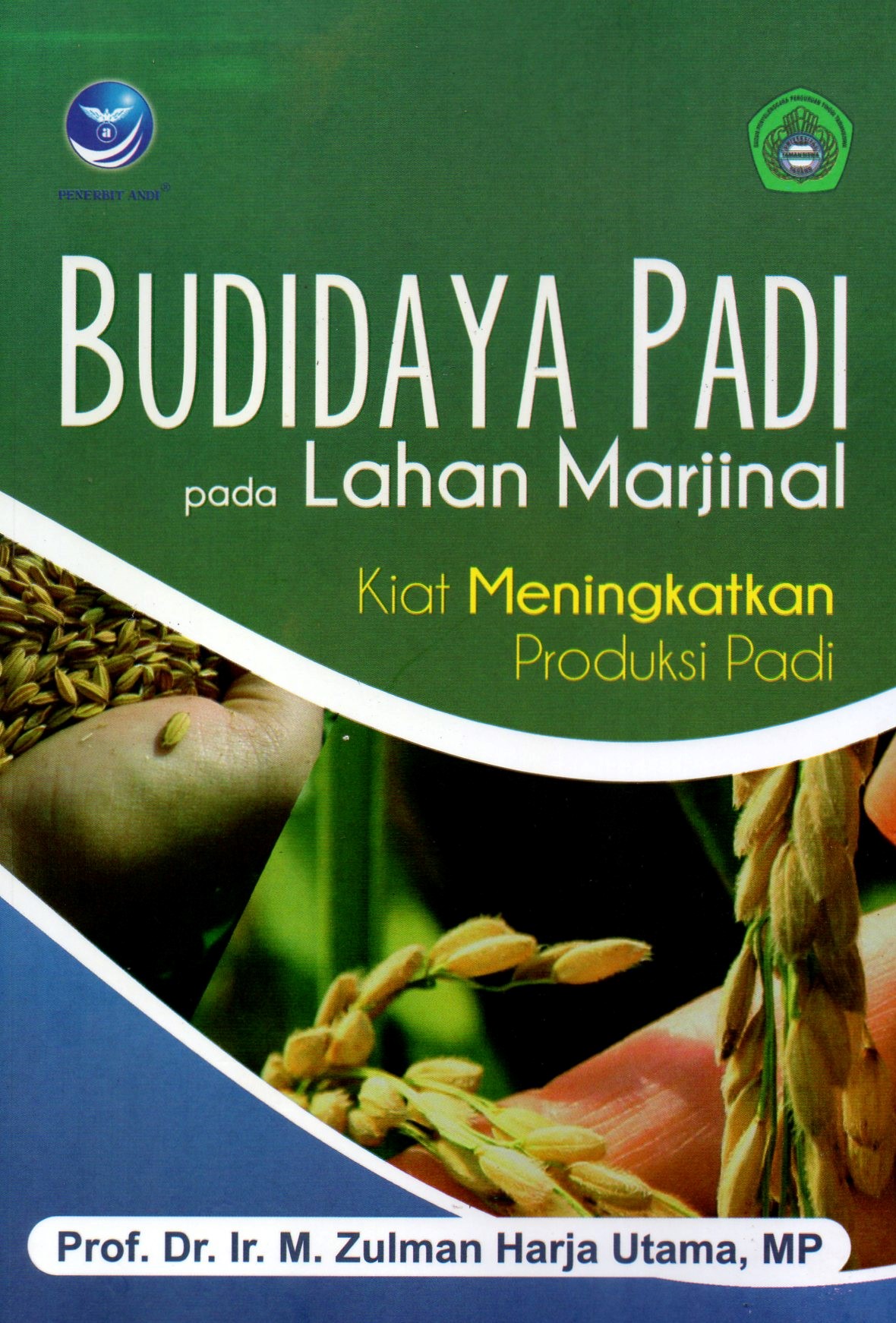 Budidaya Padi Pada Lahan Marjinal