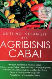 Untung Selangit dari Agribisnis Cabai